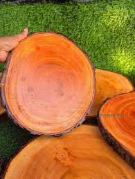 Natural Wood Slices(14 inch)