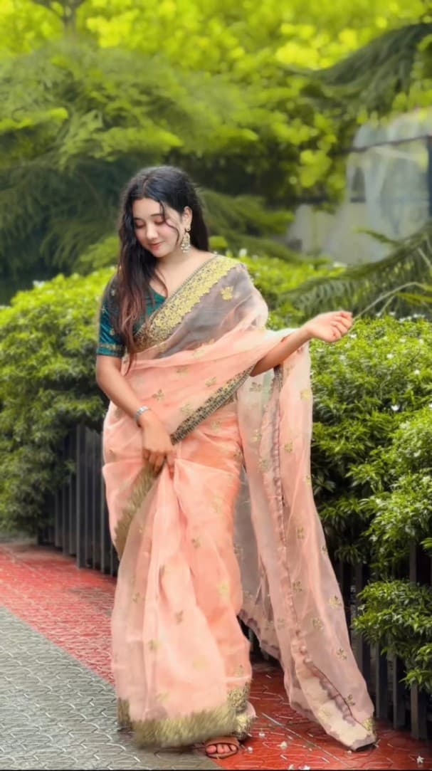 Organza Saree – 12 hands long | With velvet blouse piece | Embroidery and stone work